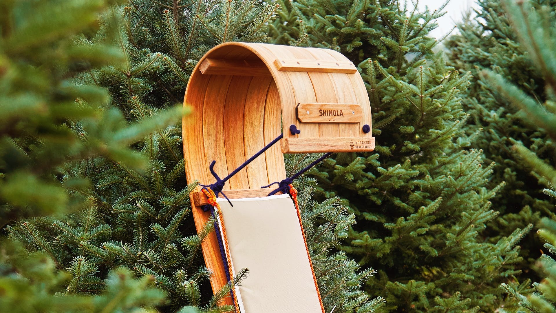 A Shinola Northern Toboggan rests against a pine tree.