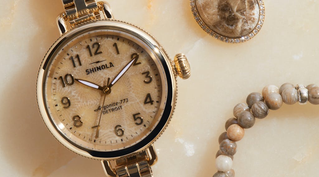 Petoskey Stone jewelry and watch